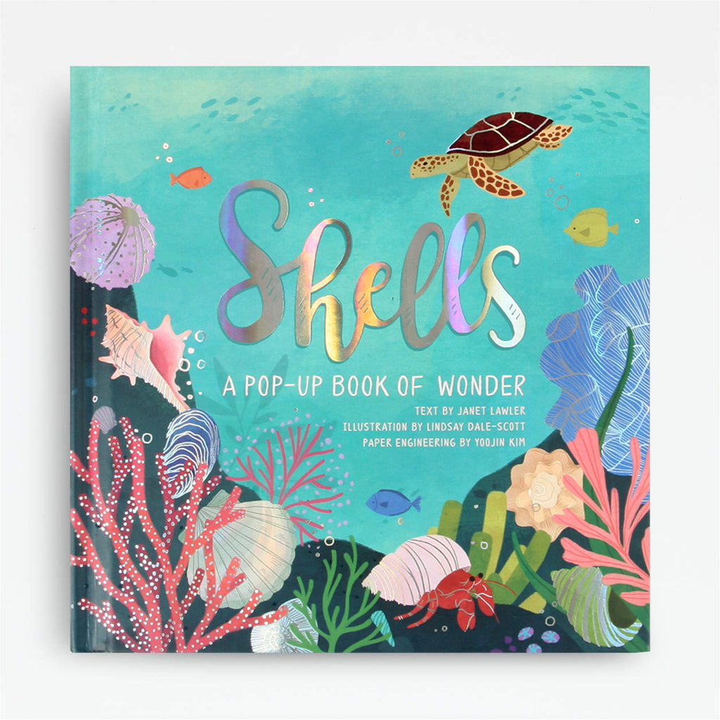 Shells Nautical Pop-Up Book – Frankie & Claude